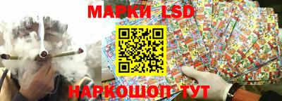 стаф Краснодар
