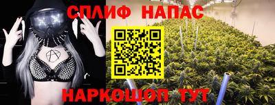 мдпв Краснознаменск