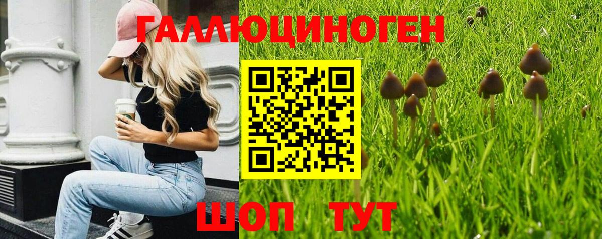 Галлюциногенные грибы мицелий Елизово