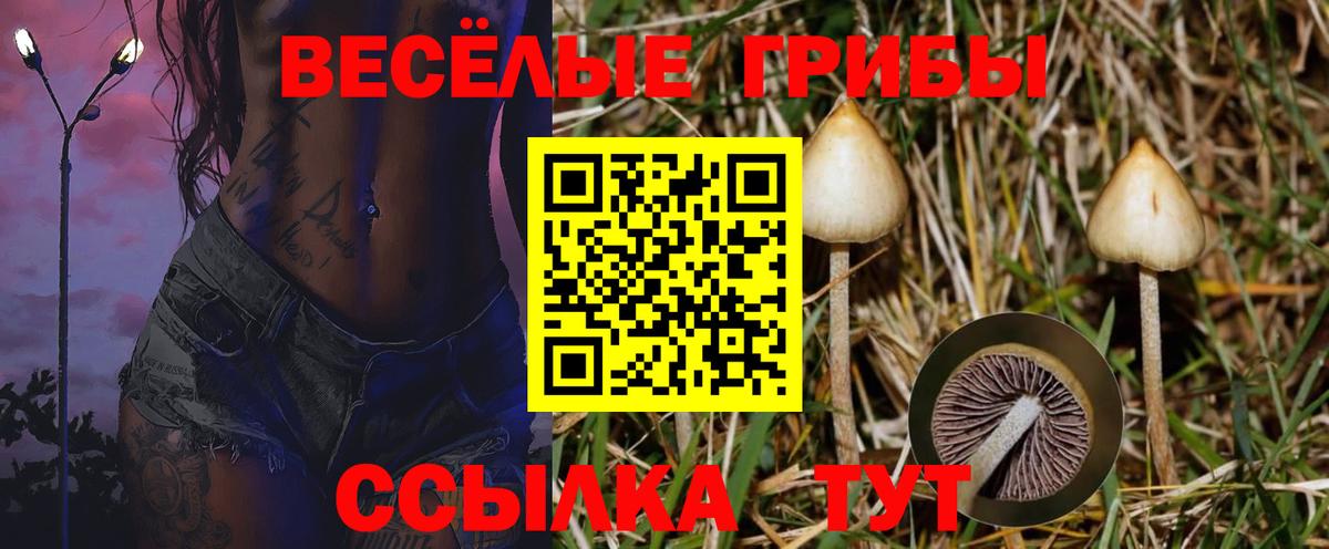Псилоцибиновые грибы MAGIC MUSHROOMS  Вход с VPN  Галлюциногенные грибы мухоморы  Елизово 